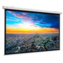 Da-Lite Projecta 10102475