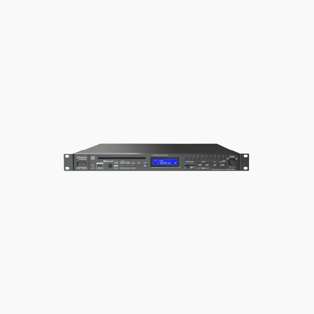 DN-300ZB-02.jpg