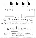 4Zone diagram.webp