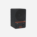 Fostex 6301NE