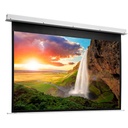 Da-Lite Projecta 10145755