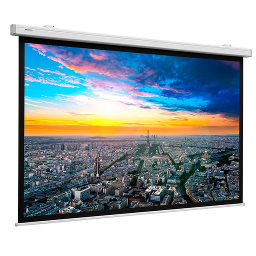 Da-Lite Projecta 10102475