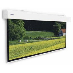 Da-Lite Projecta 10100334