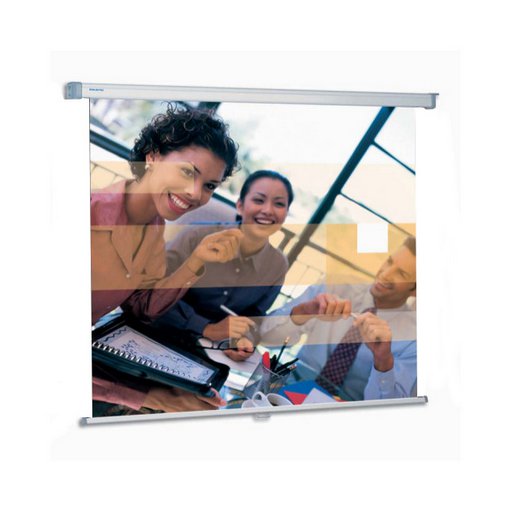 Da-Lite Projecta PSWAW001