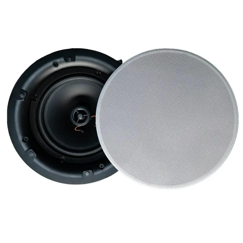 BAS Ceiling Speaker 6
