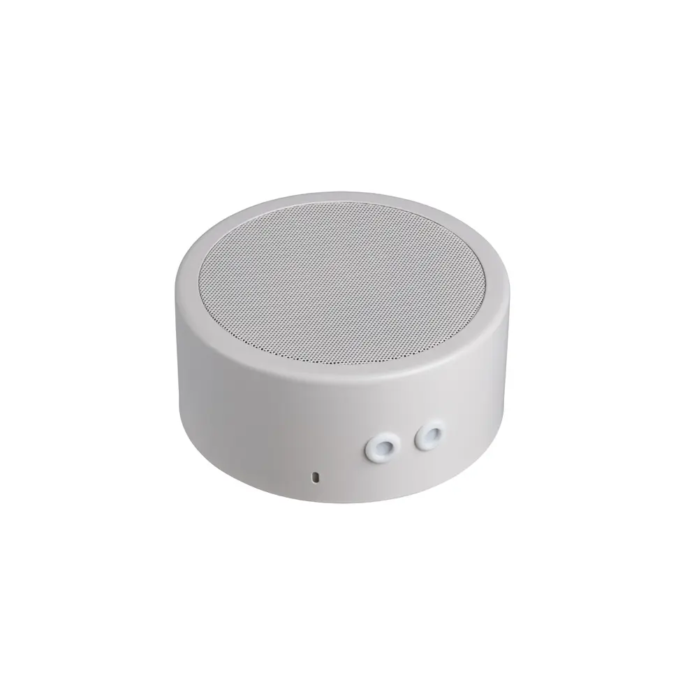IC Audio DL-A 10-165/T-EN54 SKD 