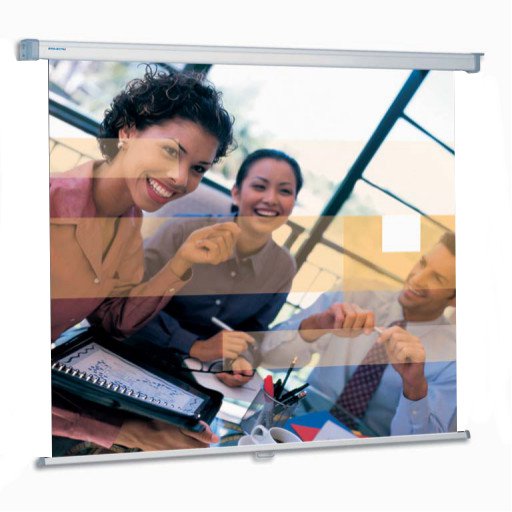 [Uit het assortiment] Da-Lite Projecta PSWAW004