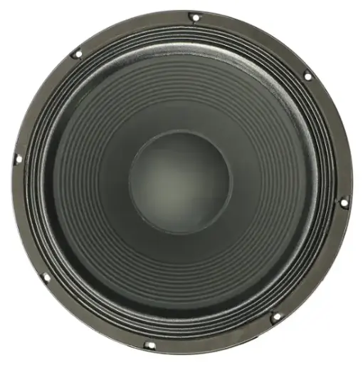Electro Voice EVS-18C