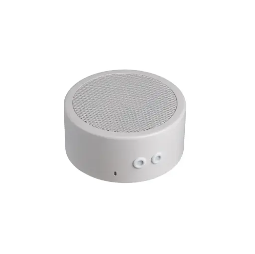 IC Audio DL-A 10-165/T-EN54 SKD 
